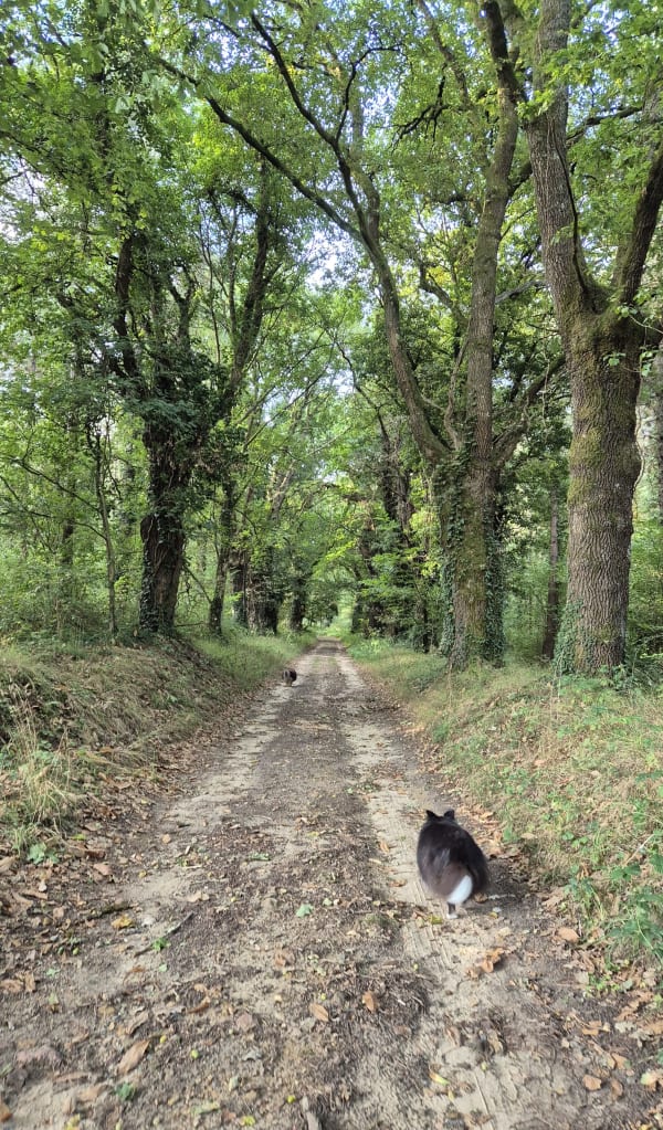 Promenade à Surfonds - Françoise - 1