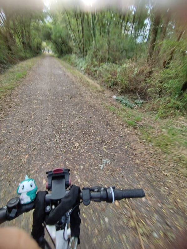 Boucle à vélo des marais de Goulaine - Basse-Goulaine - 1