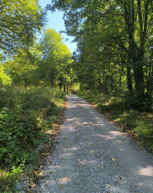 Balade autour du lac de Vaires-sur-Marne - Vaires-sur-Marne - 1
