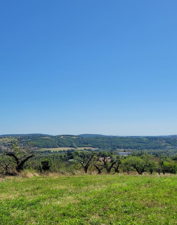 Sentier viticole de Millery et beaux panoramas en chemin - Marion - 1