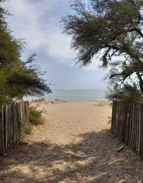 Forêt domaniale de Longeville-sur-Mer et bol d'air marin - Muriel - 1