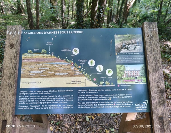 La Ferté, promenade bords de Marne et hauts. - Jessica  - 1
