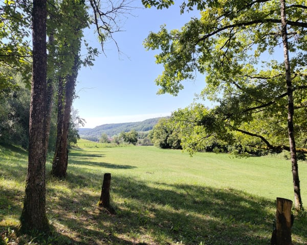 Balade aux sources de la Douix - Gerard - 1