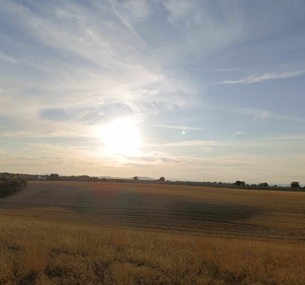 Promenade dans les champs autour du village de Valensole - Jonathan - 1