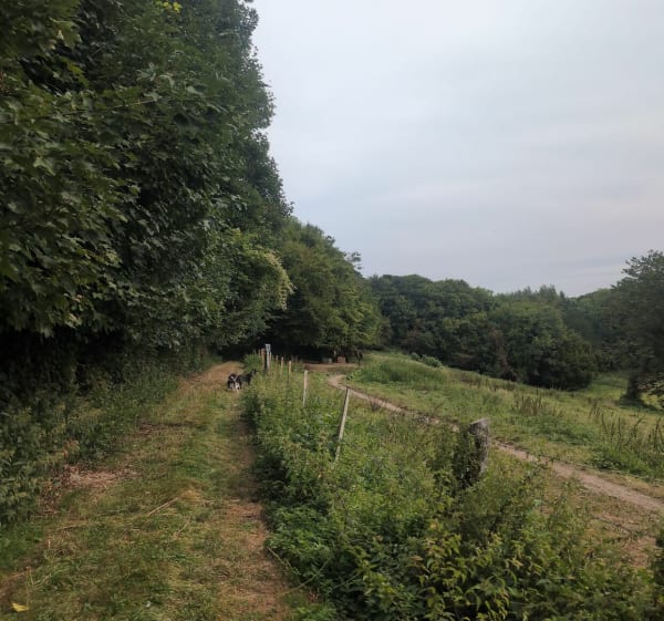 Boucle de Brocourt à Beaucamps-le-Vieux - Olympe - 1