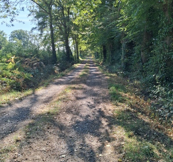 Les bastide jouac - Nicolas - 1
