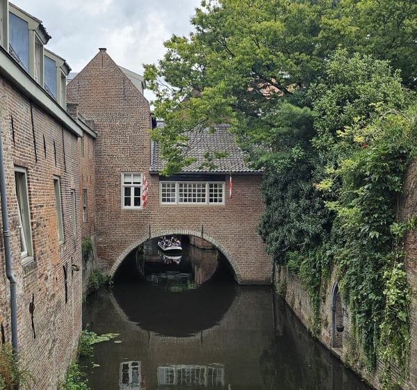 Rondwandeling door 's-Hertogenbosch - Donald - 1