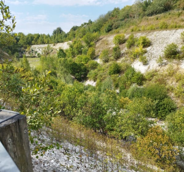 Carrière des peupliers - VERONIQUE - 1