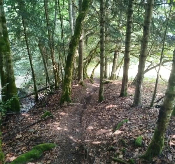 Roc d'Enfer - Saint Jean d'Aulps Station - Nathan - 1
