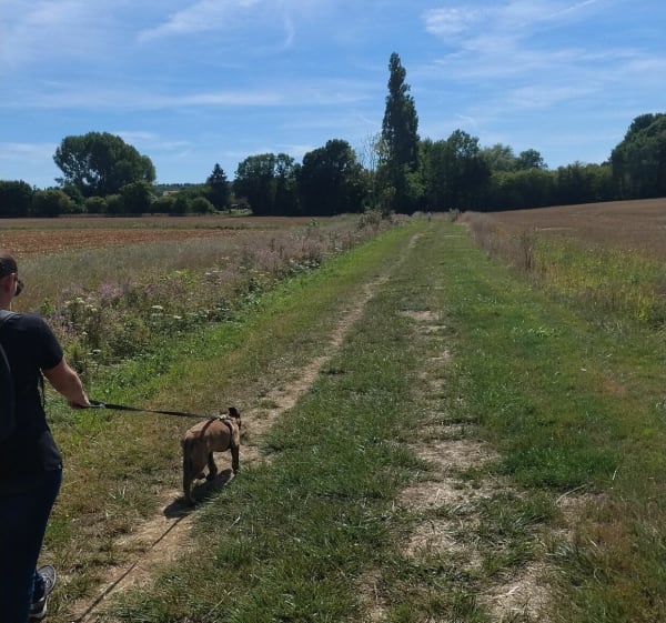 Chemin des Tuileries et le Perray - William - 1
