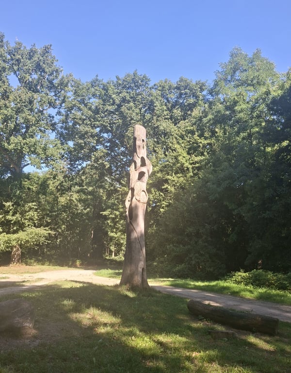 Balade à travers la forêt des Grands Avaux - Carole - 1