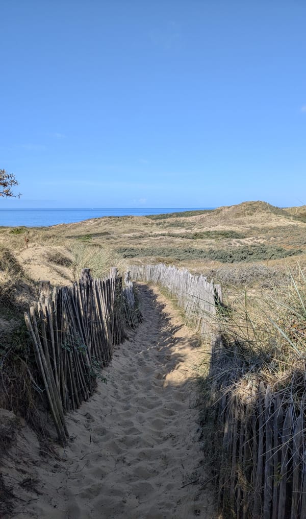 Littoral de Wimereux, dunes et criste marine - Cyril - 1