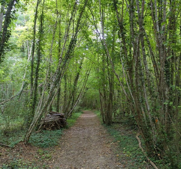Balade dans le domaine de coolus - VERONIQUE - 1