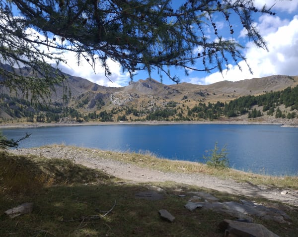 Lac d'Allos et animaux peu farouches - Allos - 1
