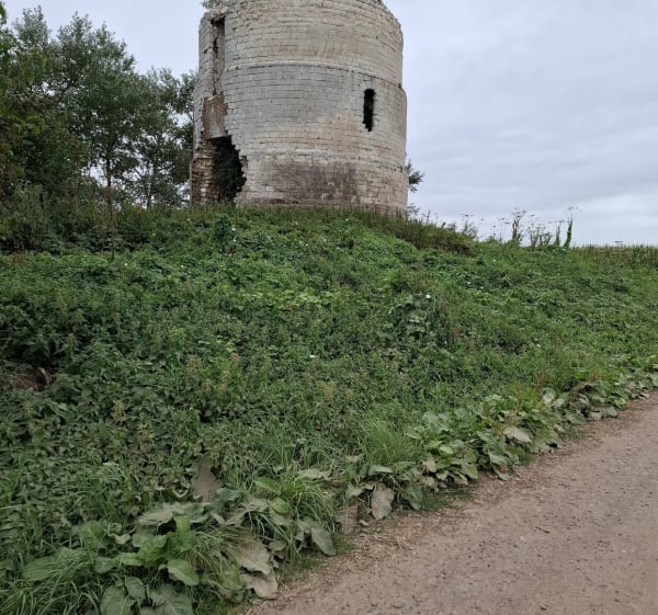 Moulin Blanc Brias - Sylvie - 1