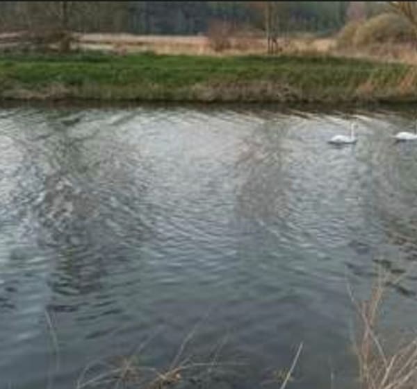 Flines marchiennes et retours par Pecquencourt raches - franck - 1