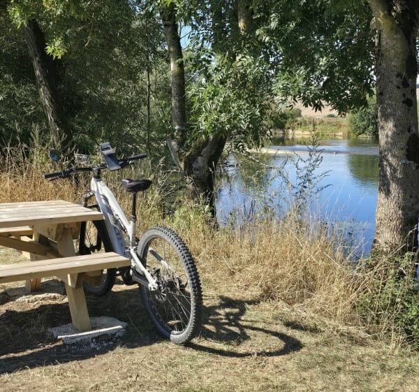 Forêt de Montigny - Véronique  - 1