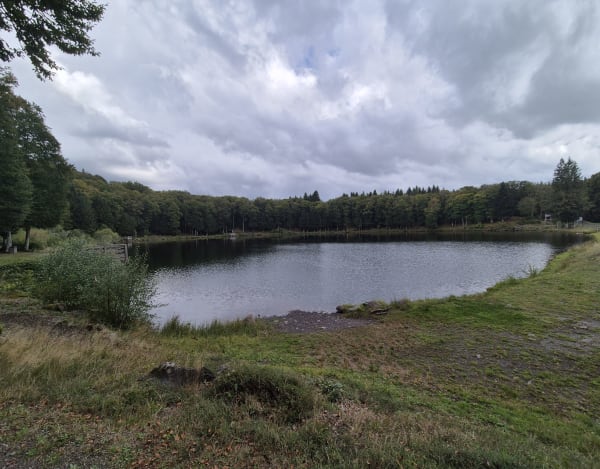 Longues -Source du Saladis - Vic-le-Comte - 1