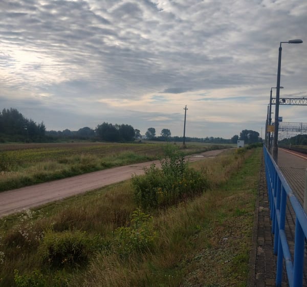Pola pola tory - Różyny - 1