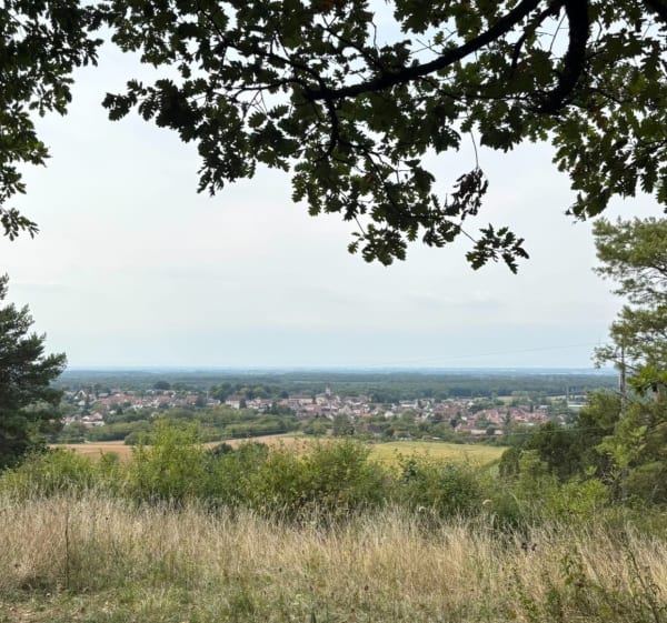 Rando au mont Joly et au mont Coq - Teddy - 1