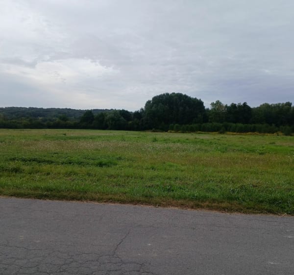 Chemin de la radine - Anthony - 1