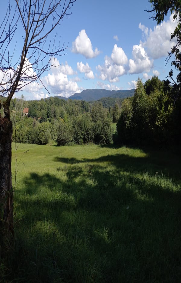 Etang et prairies au Plateau des Grilloux - Servance-Miellin - 1
