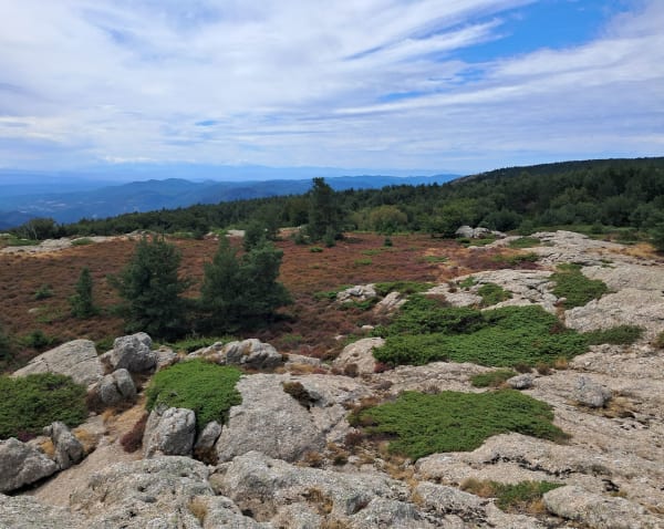 Le plateau du Caroux et Peyre Grosse - Ambre - 1