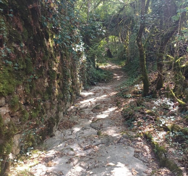 Sentier de la Barbade - Nathalie - 1
