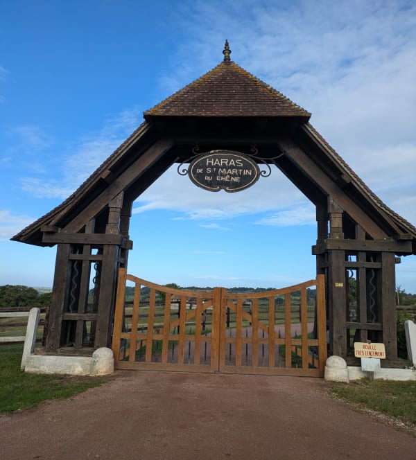 A travers les haras du Pays d'Auge - Denis - 1