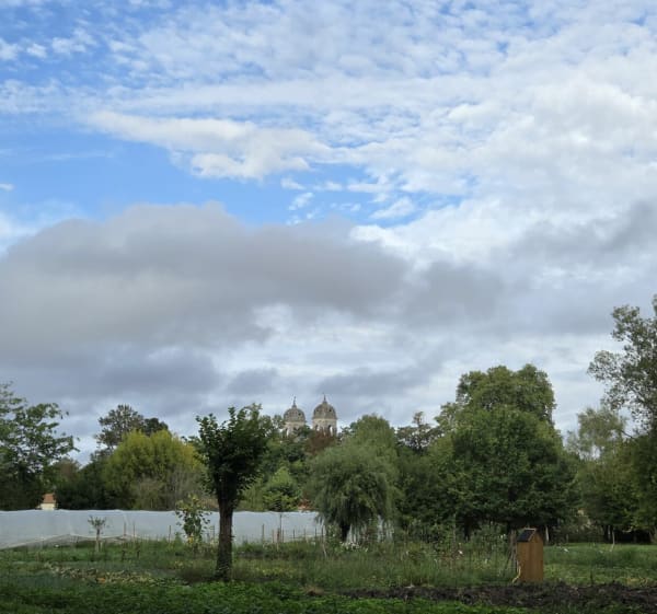 Chemin de Puychérand et découverte de Saint-Jean-d'Angély - Noémie - 1