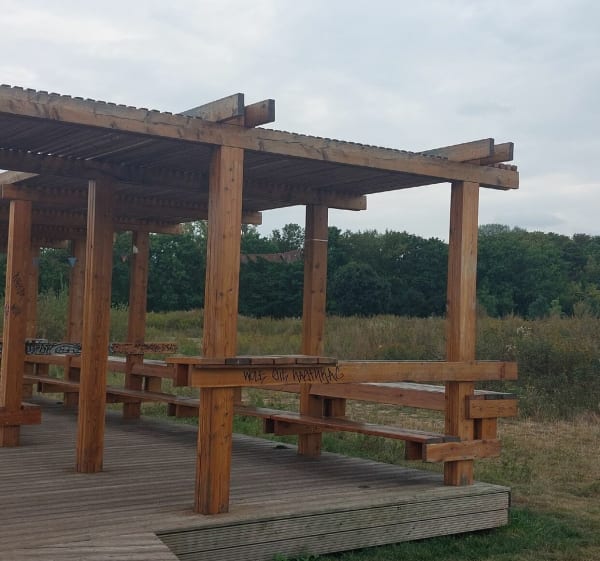 Pole Mokotowie i Bolek - Warszawa - 1