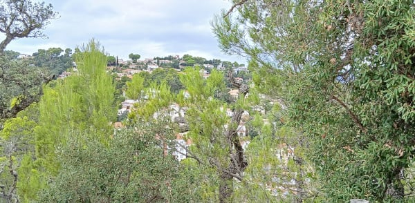Balade champêtre autour de Lumigny et calme des vergers - VERONIQUE - 1