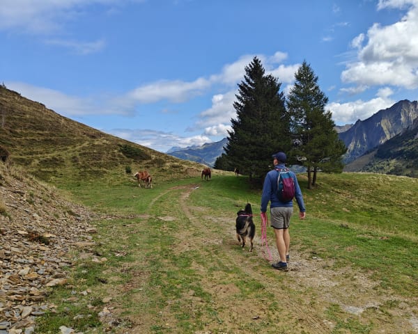 Au cœur du Val d'Azin et paysages à couper le souffle - Arbéost - 1