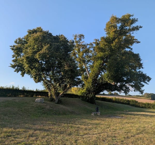 Balade vers l'arbre de la croix - Cyril - 1