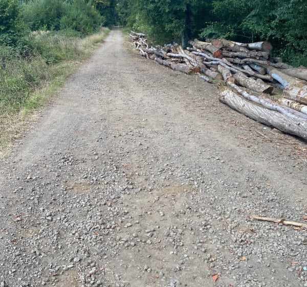 Parcours marche populaire à Briey - Romain - 1