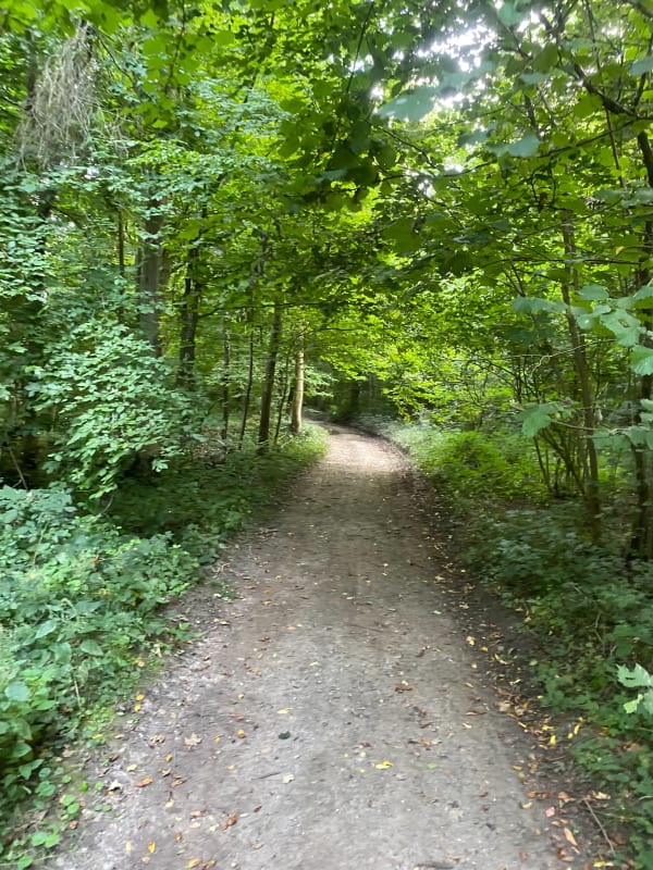 Le sentier du Pignolet, par Bois de Nédonchel - François - 1