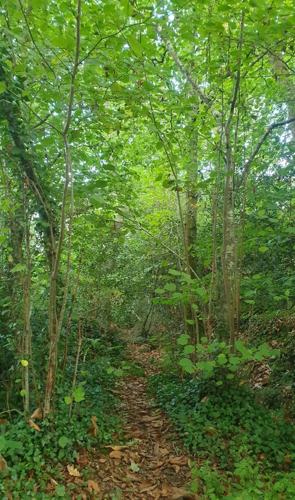 Petite balade à l'ancien Fort de Landaoudec - Cyril - 1