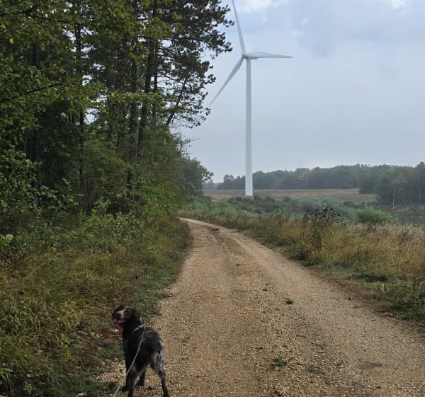 La boucle des éoliennes d’Esnoms - Le Val-d'Esnoms - 1