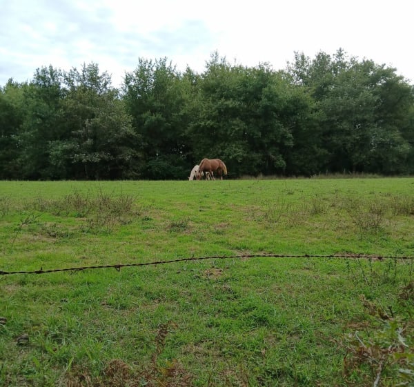 Petite balade autour de Geaune - Geaune - 1