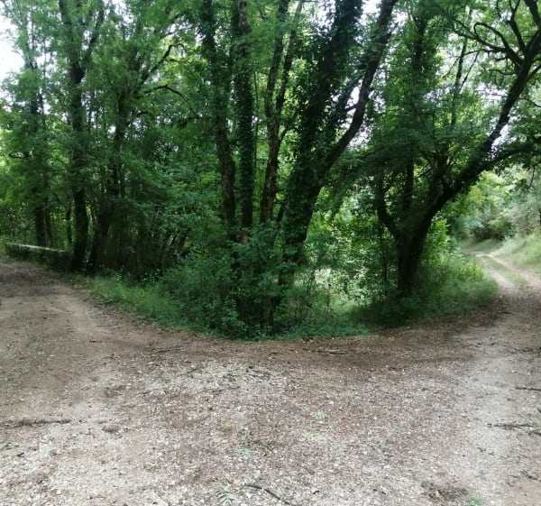 Boucle sur chemin forestier près de Miralasse - Lamagdelaine - 1