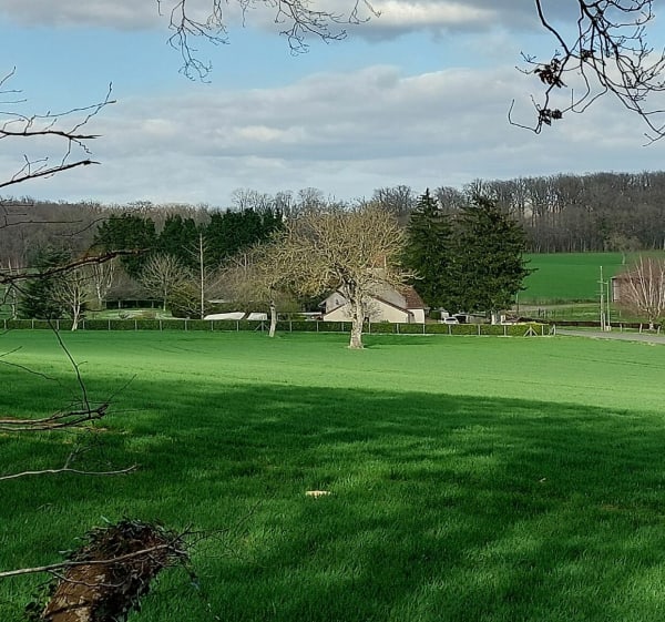 La Sauvignoise et la Nièvre - Fabienne - 1