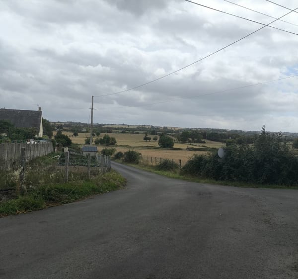 De Montjean a Ingrandes, bord de Loire et campagne - Clotilde  - 1