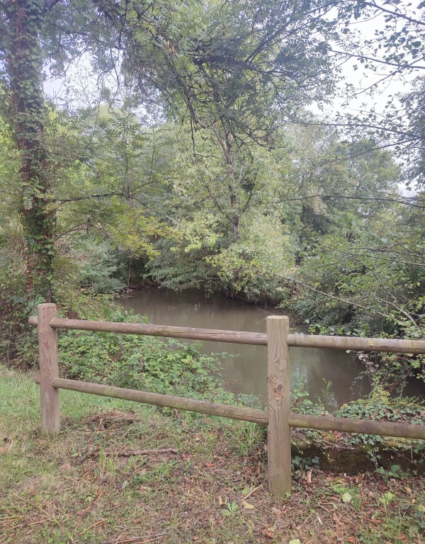 Du chemin des Alisiers à Rambourg - MICHELE - 1