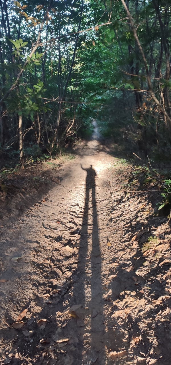 Escapade dans la forêt d'Angervilliers - Laurent - 1
