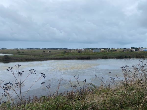 Rando à Noirmoutier - Laurence - 1