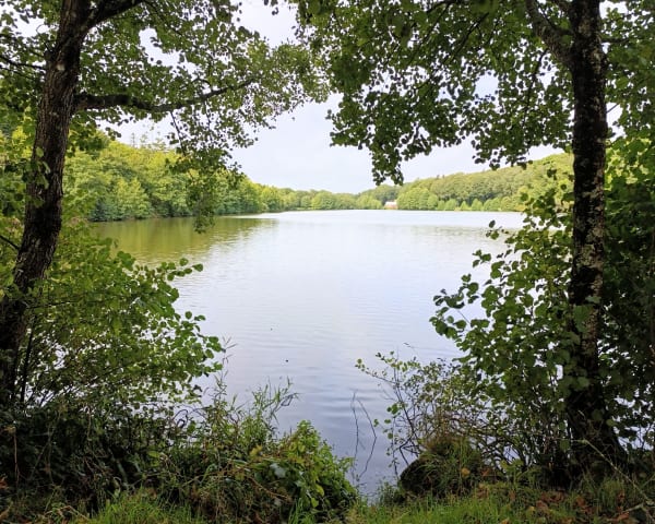 La vallée de l'Aff - Caroline - 1