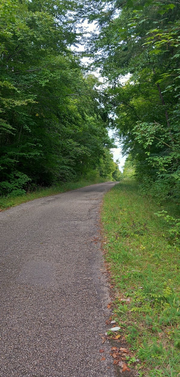 Petite Haye de Clairlieu et forêt ombragée - Nathalie - 1