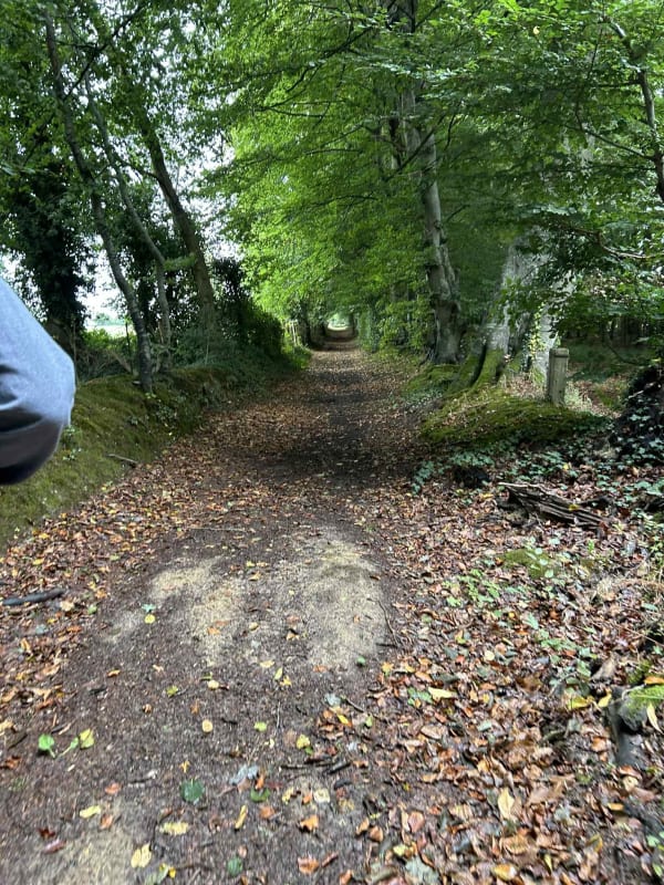 Chemin des chaumières - Graziella - 1