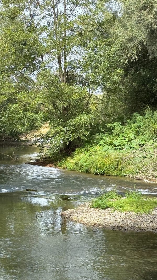 Ça rigole au bord de l'Oise et ambiance champêtre - Nathalie - 1