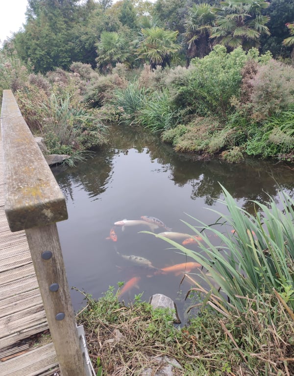 La Ria et Canal Val St Martin - Clarisse - 1